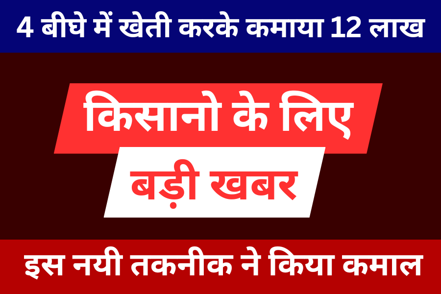 Village Business Idea: 4 बीघे में खेती करके सिर्फ 3 महीने में कमाया 12 लाख से भी ज्यादा रुपए