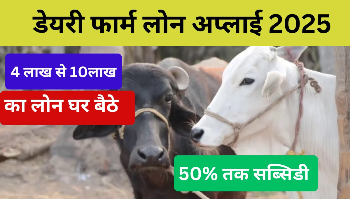 Dairy Farm Loan Apply का आसान तरीका जानिए, अब घर बैठे होजाएगा सब कुछ